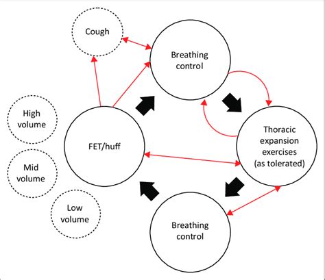 Components And Examples Of Variations In The Active Cycle Of Breathing