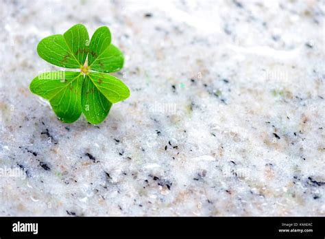 Symbols Of Good Luck High Resolution Stock Photography And Images Alamy