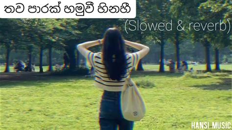 Thawa Parak Hamuwee Hinaheeතවපාරක් හමුවී හිනහී 🥺 Hansimusic ‎ Hansivlogs Coversong මනොපාරකට