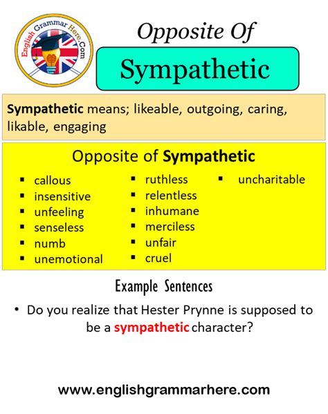 Opposite Of Sympathetic, Antonyms of Sympathetic, Meaning and Example ...