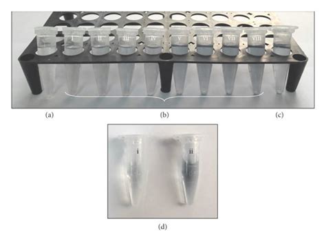 Standard Lowry Assay Carried Out In Micro Centrifuge Tubes A Reagent Download Scientific