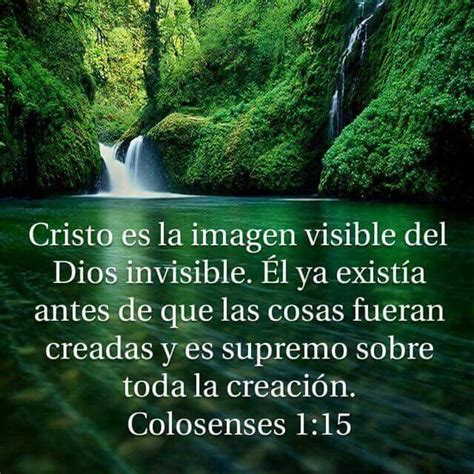 Colosenses Vers Culos De La Biblia Frases Cristianas