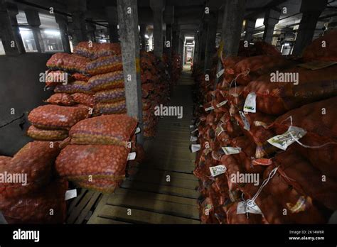 Potatoes Are Preserved In A Refrigerated Area Of A Potato Cold Storage West Bengal India Stock