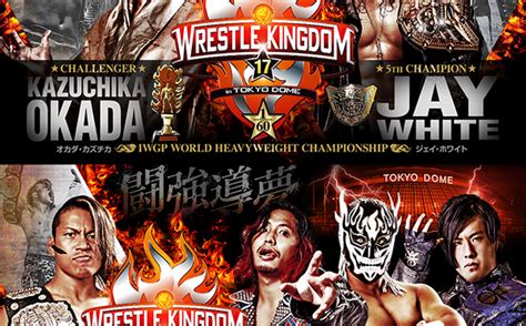 Wrestle Kingdom 17 - FarrahDarron