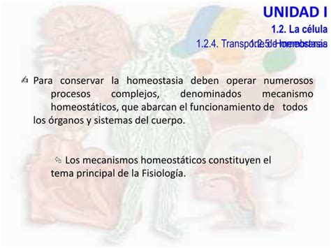 Homeostasia Y Posiciones Del Cuerpo Pptx