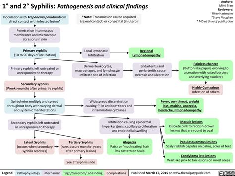 Syphilis Diagram