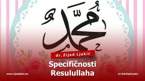 Specifi Nosti Resulullaha Dr Zijad Ljaki Youtube