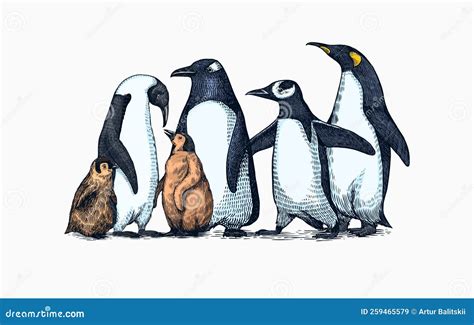 Emperor Penguin and Cute Baby. Adult with Juveniles. Small Family Set ...