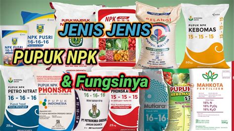 Jenis Pupuk Npk Kandungan Dan Kegunaannya Bagi Tanaman Off