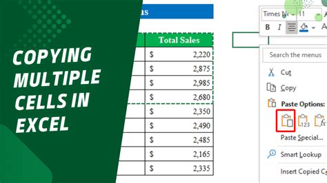 Step By Step Guide Copying Multiple Cells In Excel Earn And Excel