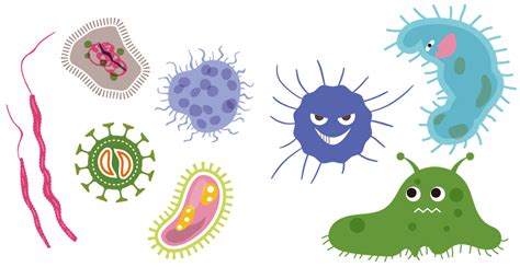 Bakteri Virus Korona Gambar Gratis Di Pixabay