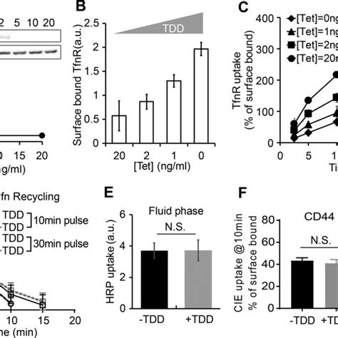 Overview Of Ap2 And Clathrin Structures A Schematic Representation