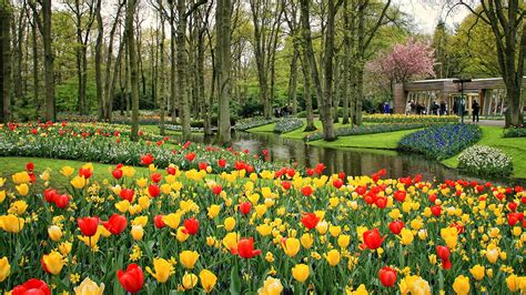 Keukenhof Wallpapers - Wallpaper Cave