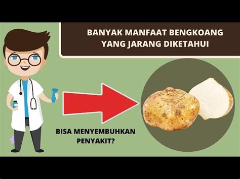 Temukan Manfaat Konsumsi Bengkoang Yang Jarang Diketahui Biotifor