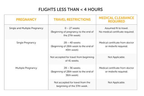 Pregnancy And Plane Travel What You Need To Know For Safe Travels