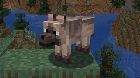 The Latest Minecraft Update Adds Wolf Armor Wolf Breeds And