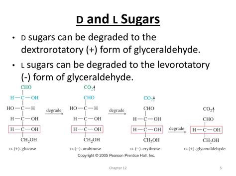 Ppt Chapter 12 Carbohydrates Powerpoint Presentation Free Download