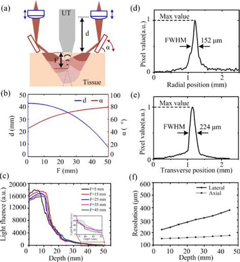 Large Depth Focus Tunable Photoacoustic Tomography Based On Clinical