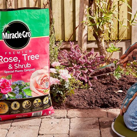 Miracle Gro Premium Rose Tree Shrub Compost 40l Homebase