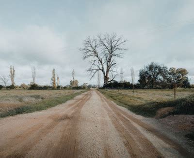 32 Dirt Roads Quotes To Live Freely