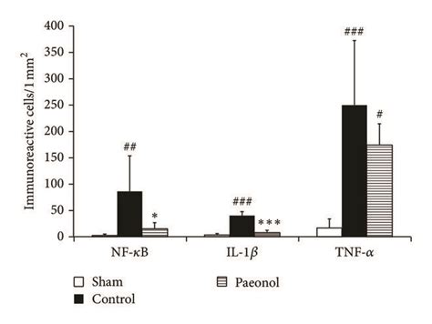 Effect Of Paeonol On The Number Of Nf κb Il 1β And Download