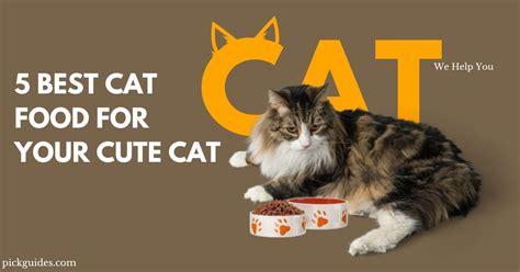 5 Best Cat Food For Your Cute Cat In 2024 Pickguides