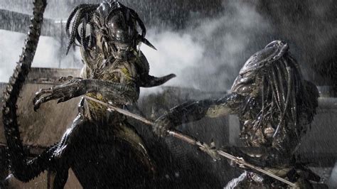 Alien Vs Predator Wallpaper Images