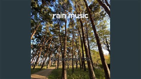 Rain Music Youtube