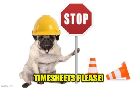 Pug Timesheet Reminder Imgflip