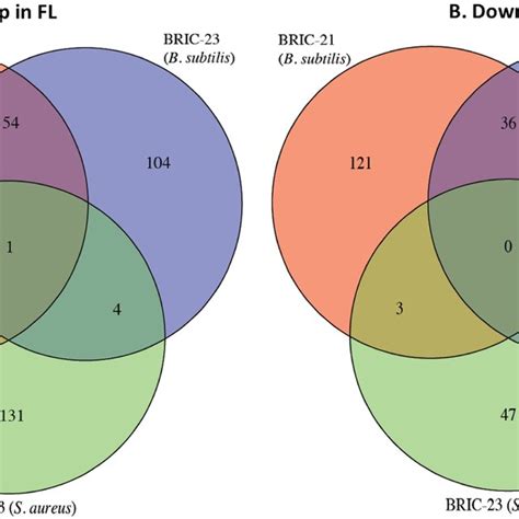 Venn Diagrams Depicting Genes Found To Be Up Regulated A Or