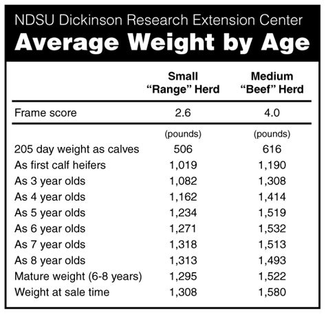 Average Weight Of A Cow Cow