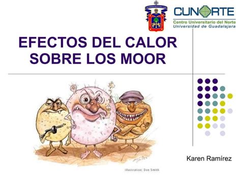 Efectos Del Calor Sobre Los Moor Karen PPT