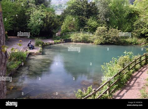 silent pool albury near Guildford surrey Stock Photo - Alamy