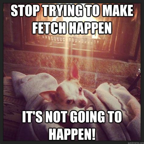 stop    fetch happen     happen misc