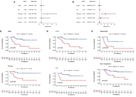 Prognosis Of The Anoikis Related Lncrna Signature In Osteosarcoma Download Scientific Diagram