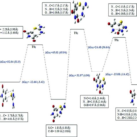 Energetic Diagram With Thiourea Mechanism G In Kcal Mol Values