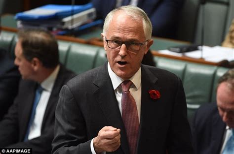 Malcolm Turnbull Pressured To Allow Free Vote On Same Sex Marriage