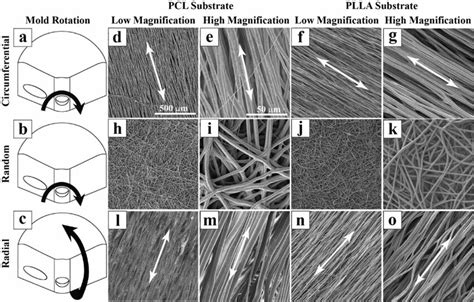 Fabrication Of The Electrospun Trilayer Pcl And Plla Substrates And