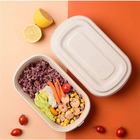 Disposable Food Containers with Lids for Takeout Food | GreenLivingLife ...