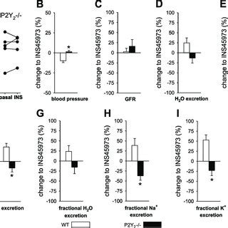 Response in blood pressure, GFR, and renal reabsorption to continuous ...