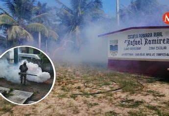 Fumigan escuelas en Tampico Alto para evitar propagación de Dengue