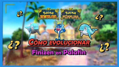 C Mo Evolucionar A Finizen En Palafin En Pok Mon Escarlata Y P Rpura