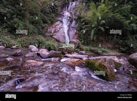 Río Rangitflujo Rápido Del Aguaboulderen El Lecho Del Río Pequeñas