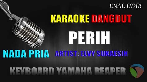 Karaoke Dangdut Perih Nada Pria Elvy Sukaesih Cover Dangdut