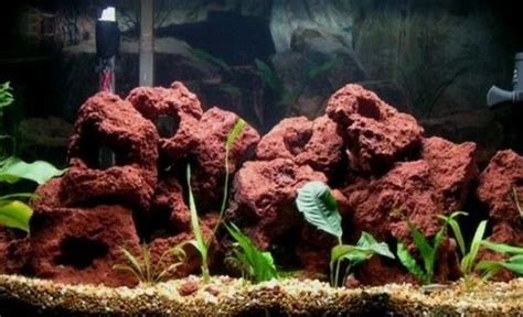 Use Of Lava Rock In Aquarium - Aquarium Views