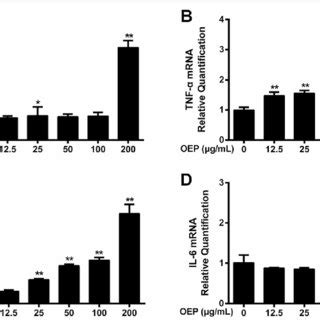 Effects Of Pm Extracts On The Mrna Expression Of Inflammatory