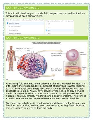 Bios Week Respiratory System Physiology Lab May Week