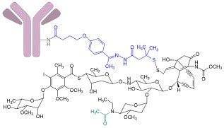 ADC Approval Up To 2023 BroadPharm