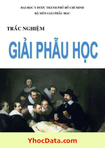 Tr c Nghi m Gi i Ph u Có áp Án H Y D c TP H Chí Minh YHocData