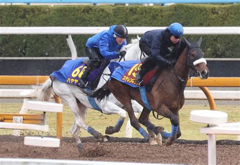 【桜花賞】ステレンボッシュ古馬を圧倒4馬身先着 国枝師「落ち着いてどっしりしている」 3歳馬特集 競馬写真ニュース 日刊スポーツ